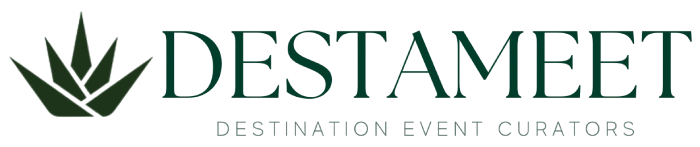 DestaMeet Logo